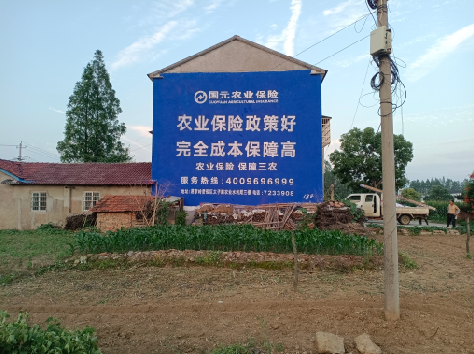 镇雄墙体广告为何受追捧？