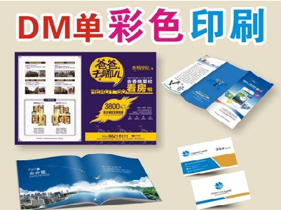 镇雄单页印刷，色彩搭配简单。